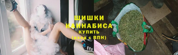 гидропоника Белокуриха