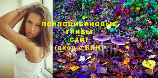 крисы Беломорск